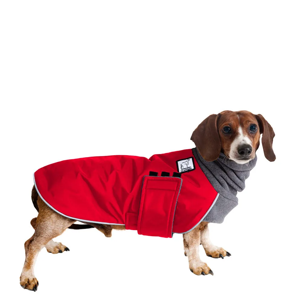 Dachshund Winter Coat