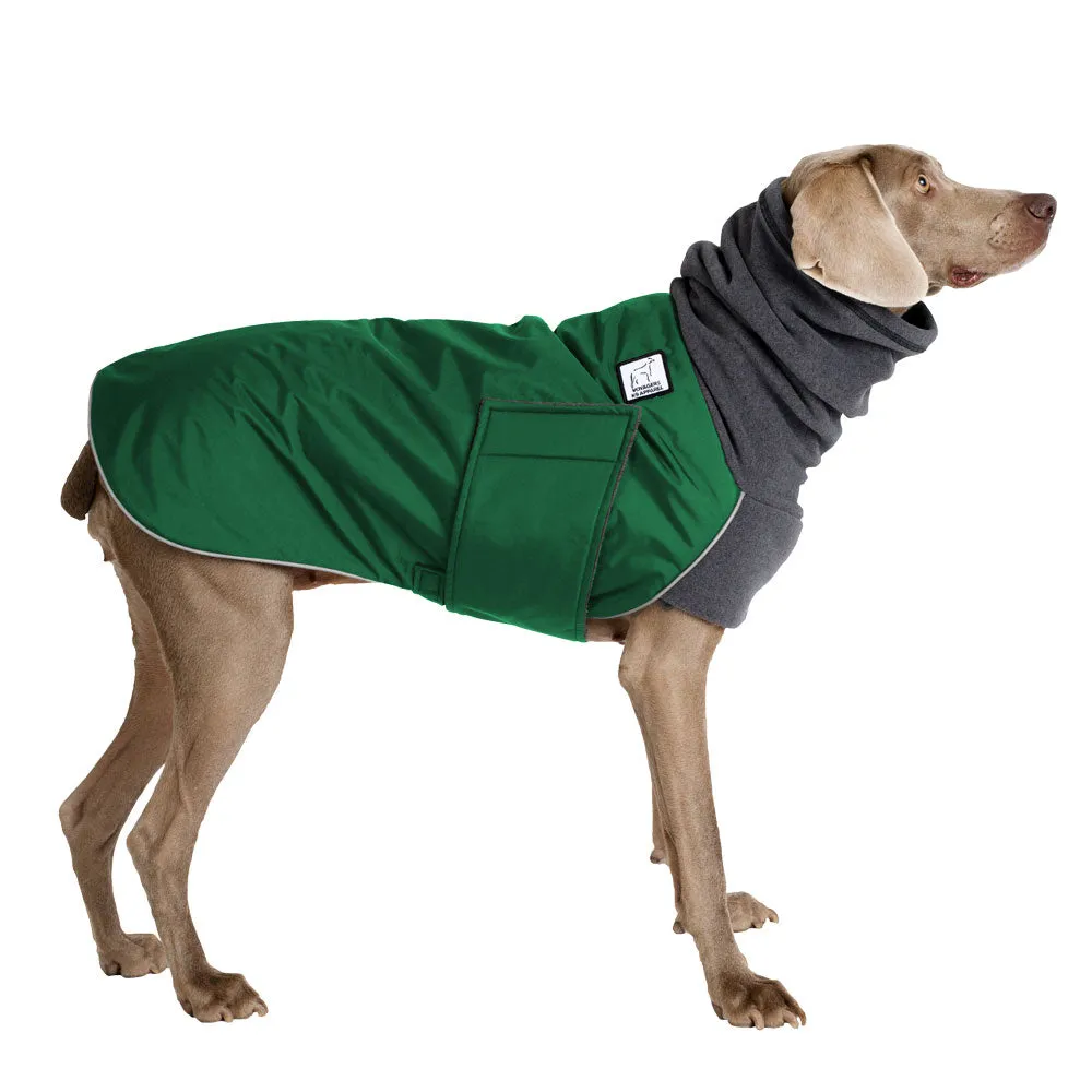 Weimaraner Winter Coat