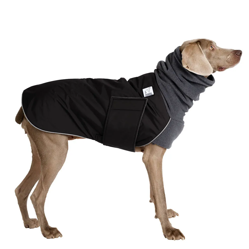 Weimaraner Winter Coat